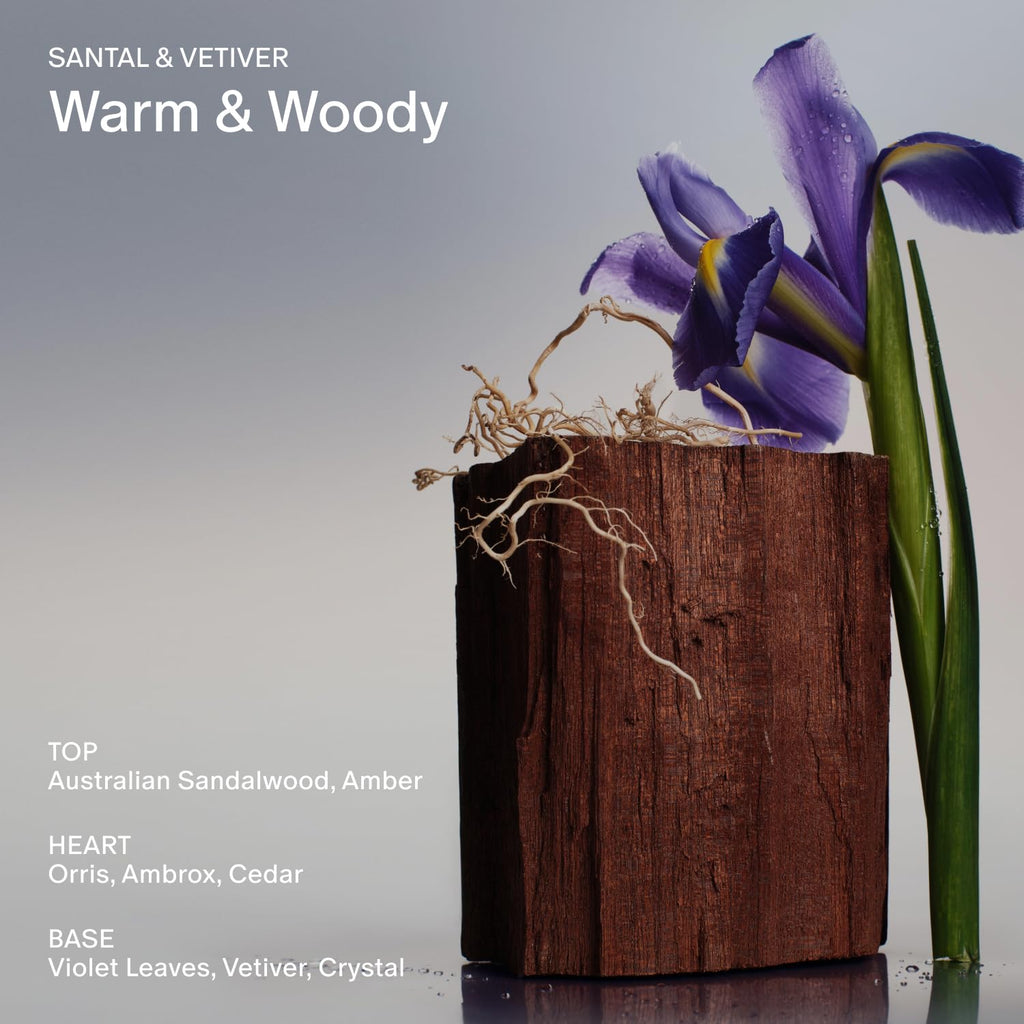 Salt & Stone Body Lotion – Hydrating Vegan Moisturizer for Men & Women, Fast-Absorbing, Santal & Vetiver (100ml)